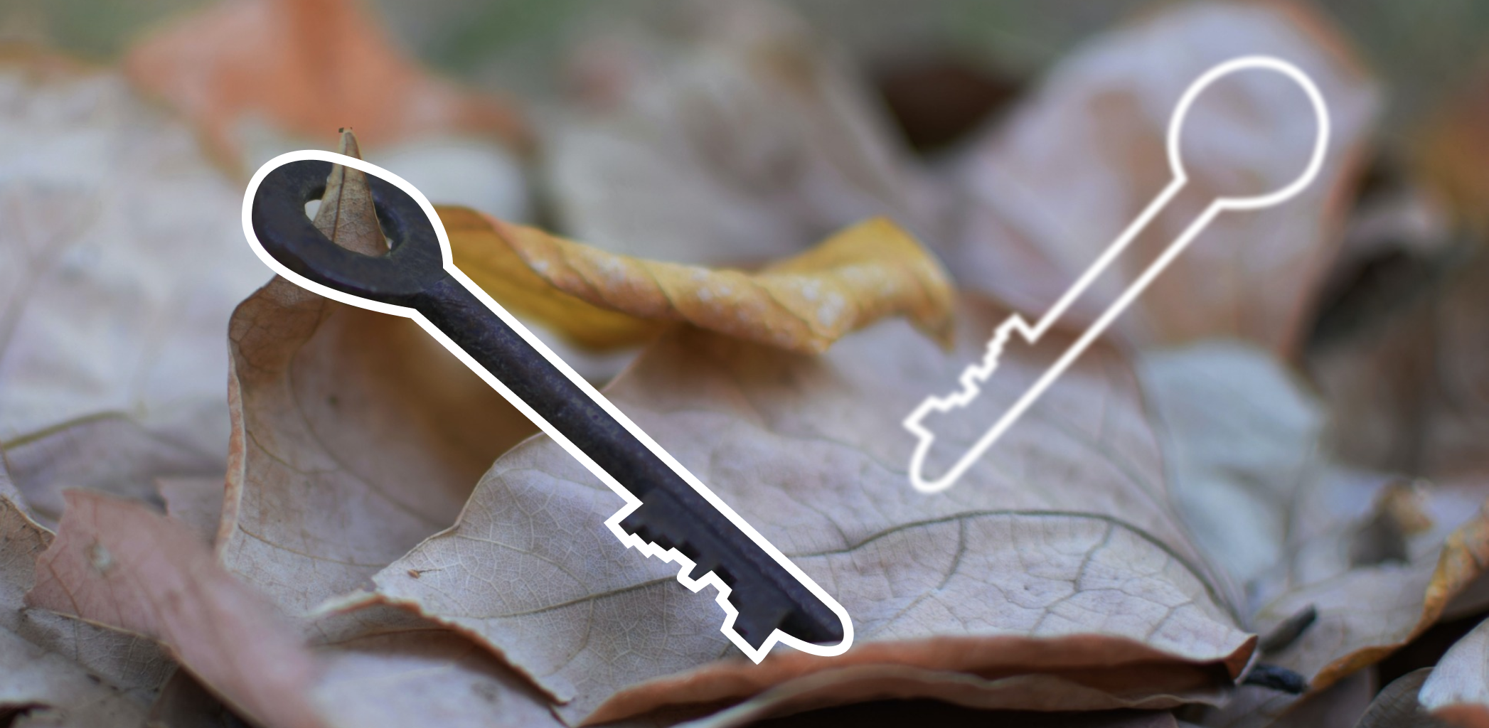 Иллюстрация к статье - Как купить квартиру Как купить квартиру